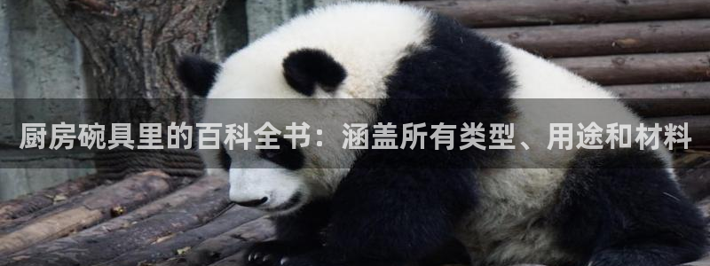鸿运国际官网最新网站入口网址