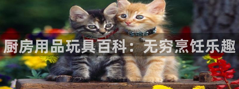 鸿运国际入口