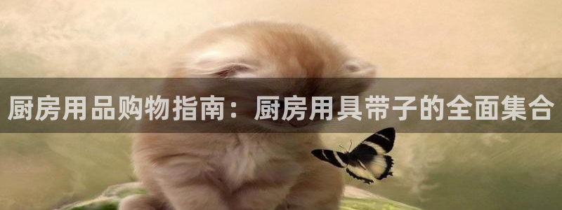鸿运的网址是多少