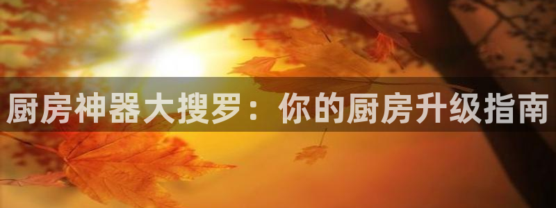 鸿运国际官网最新网站入口网址